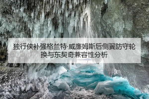du-xing-xia-bu-qiang-ge-lan-te-wei-lian-mu-si-hou-ce-yi-fang-shou-lun-huan-yu-dong-qi-qi-jian-rong-xing-fen-xi-2-430.jpg