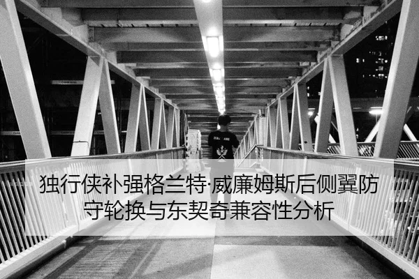 独行侠补强格兰特·威廉姆斯后侧翼防守轮换与东契奇兼容性分析