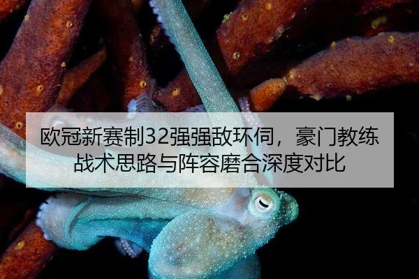 ou-guan-xin-sai-zhi-qiang-qiang-di-huan-si-hao-men-jiao-lian-zhan-shu-si-lu-yu-zhen-rong-mo-he-shen-du-dui-bi-2-914.jpg